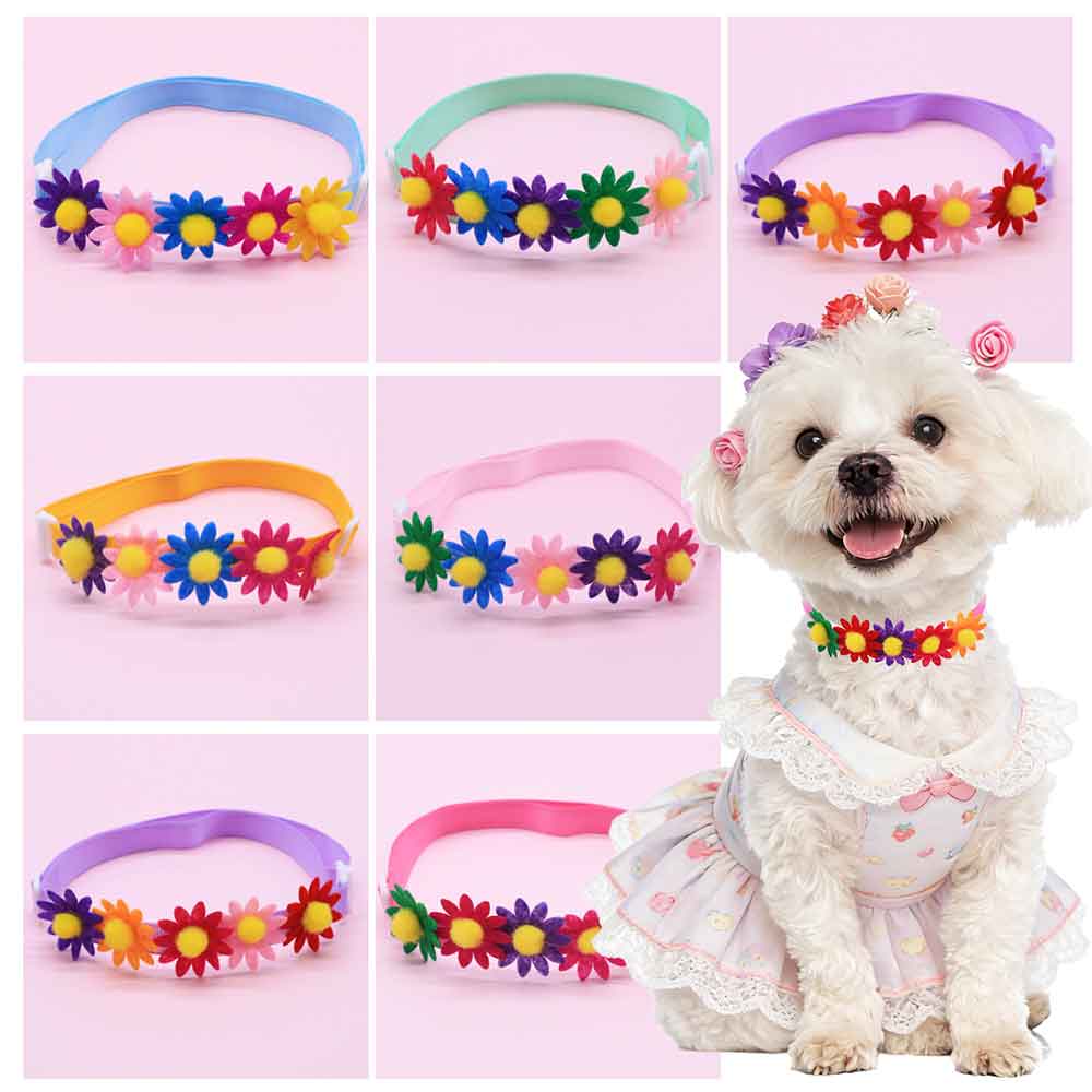 50PCS Colorful Dog Bowties Flo - Pet Supplies Hours ulasan dan harga
