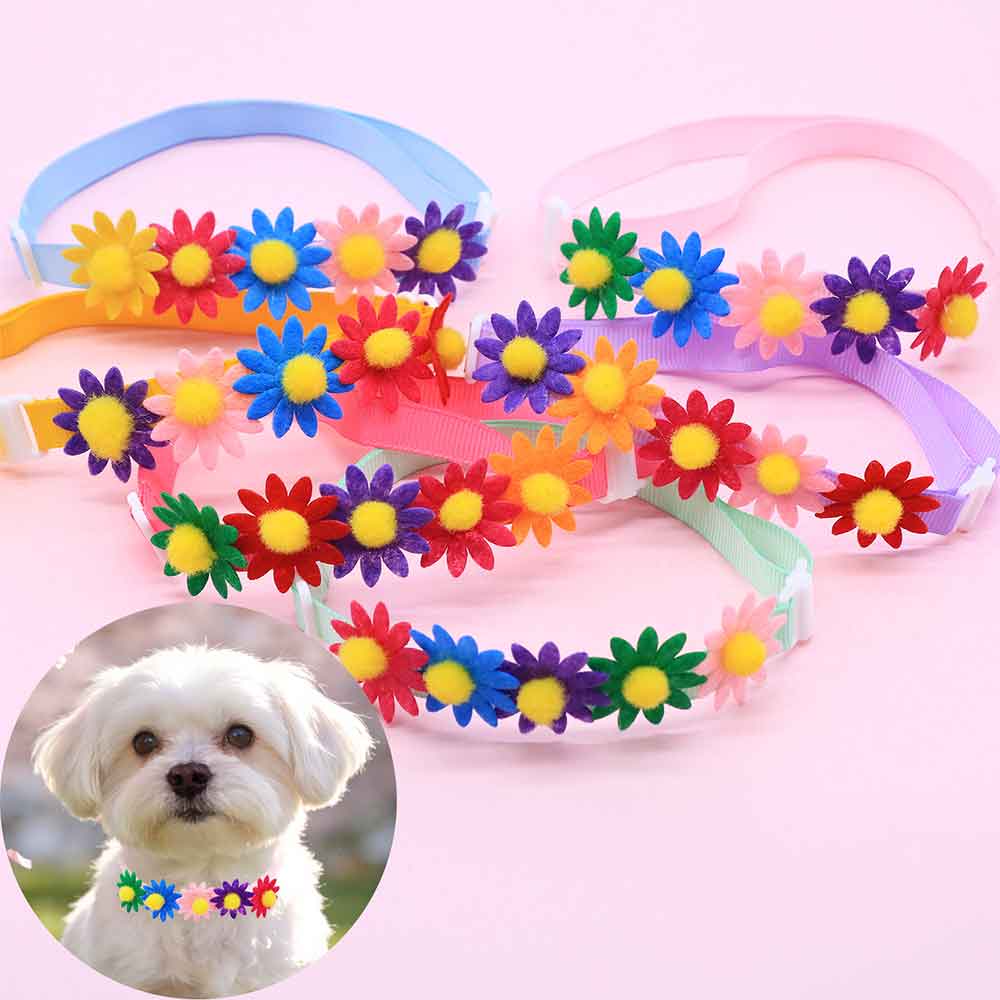 50PCS Colorful Dog Bowties Flo - Pet Supplies Hours ulasan dan harga