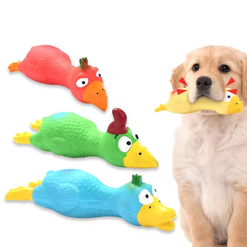 Cute Dog Squeak Toy Latex Chic - Pet Supplies Hours ulasan dan harga