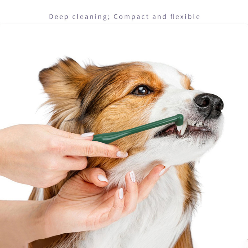 Micro Head Dog Cat Toothbrush  - Pet Supplies Hours ulasan dan harga
