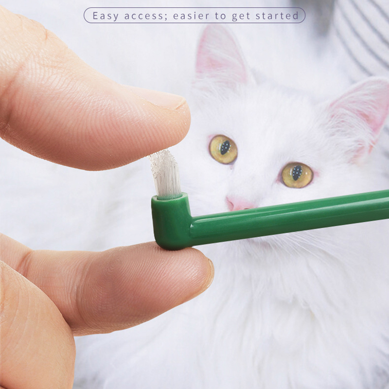 Micro Head Dog Cat Toothbrush  - Pet Supplies Hours ulasan dan harga