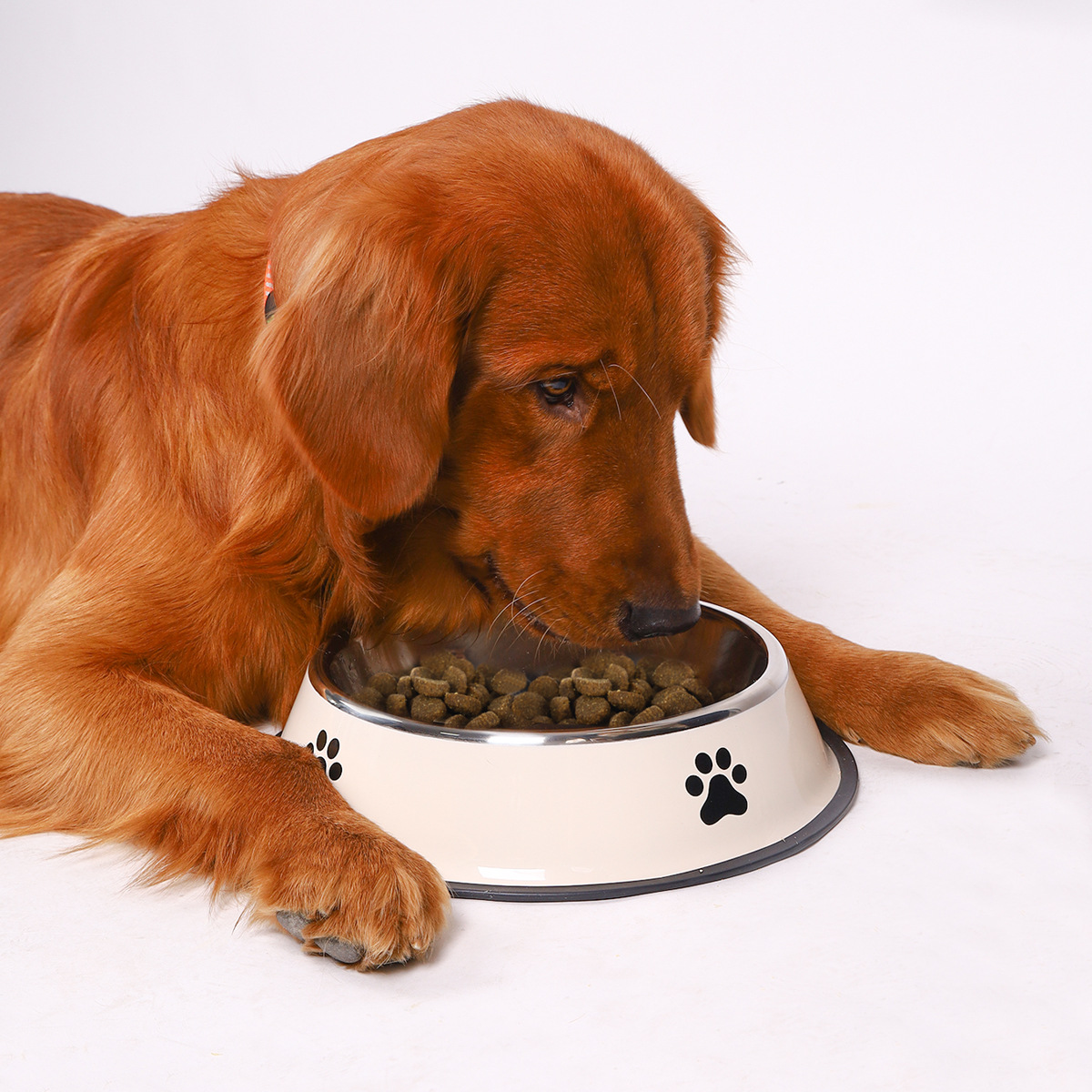 Stainless Steel Large Capacity - Pet Supplies Hours ulasan dan harga