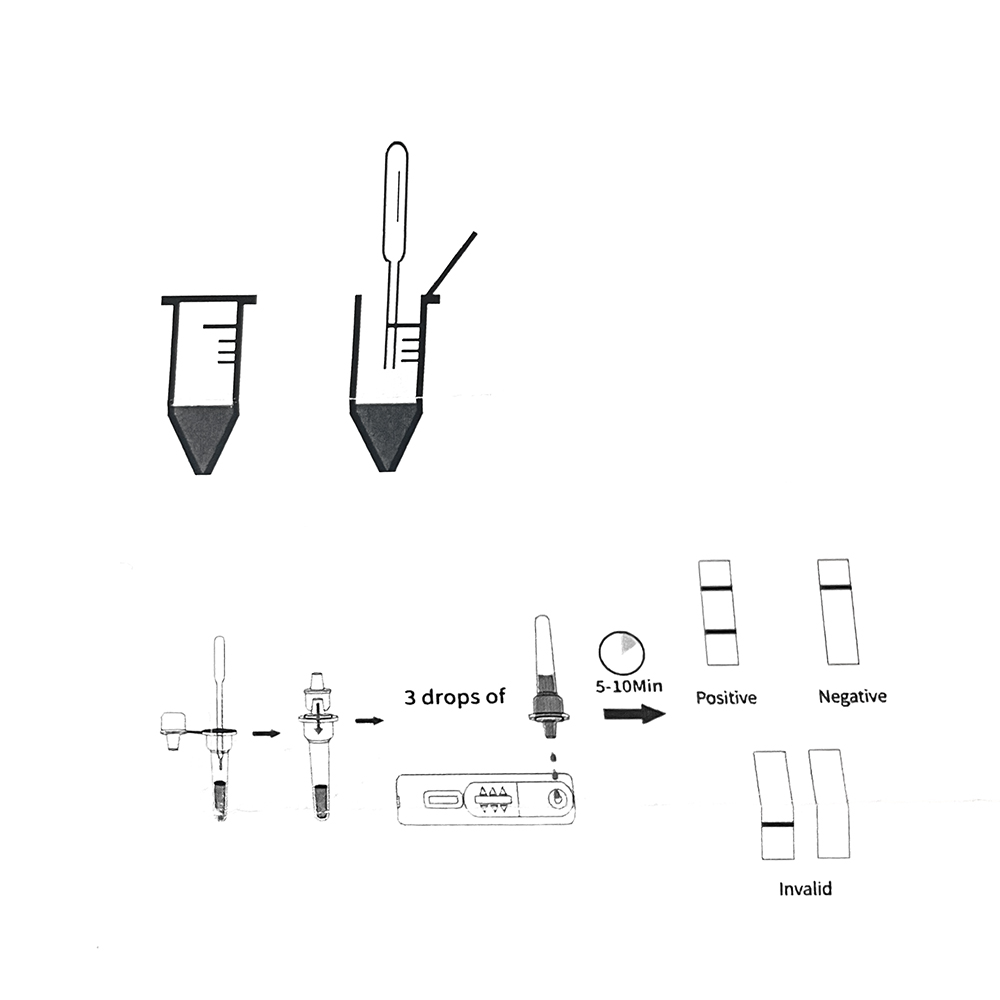 1set/5set Professional Pet Dog - Pet Supplies Store ulasan dan harga