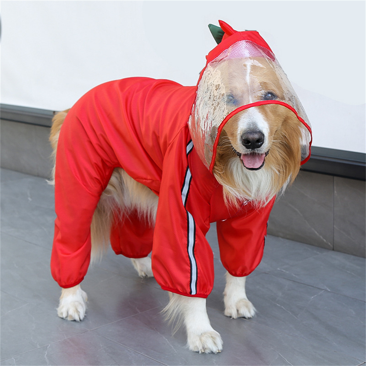 Dog Raincoat Waterproof Dogfac - Pet Supplies Hours ulasan dan harga