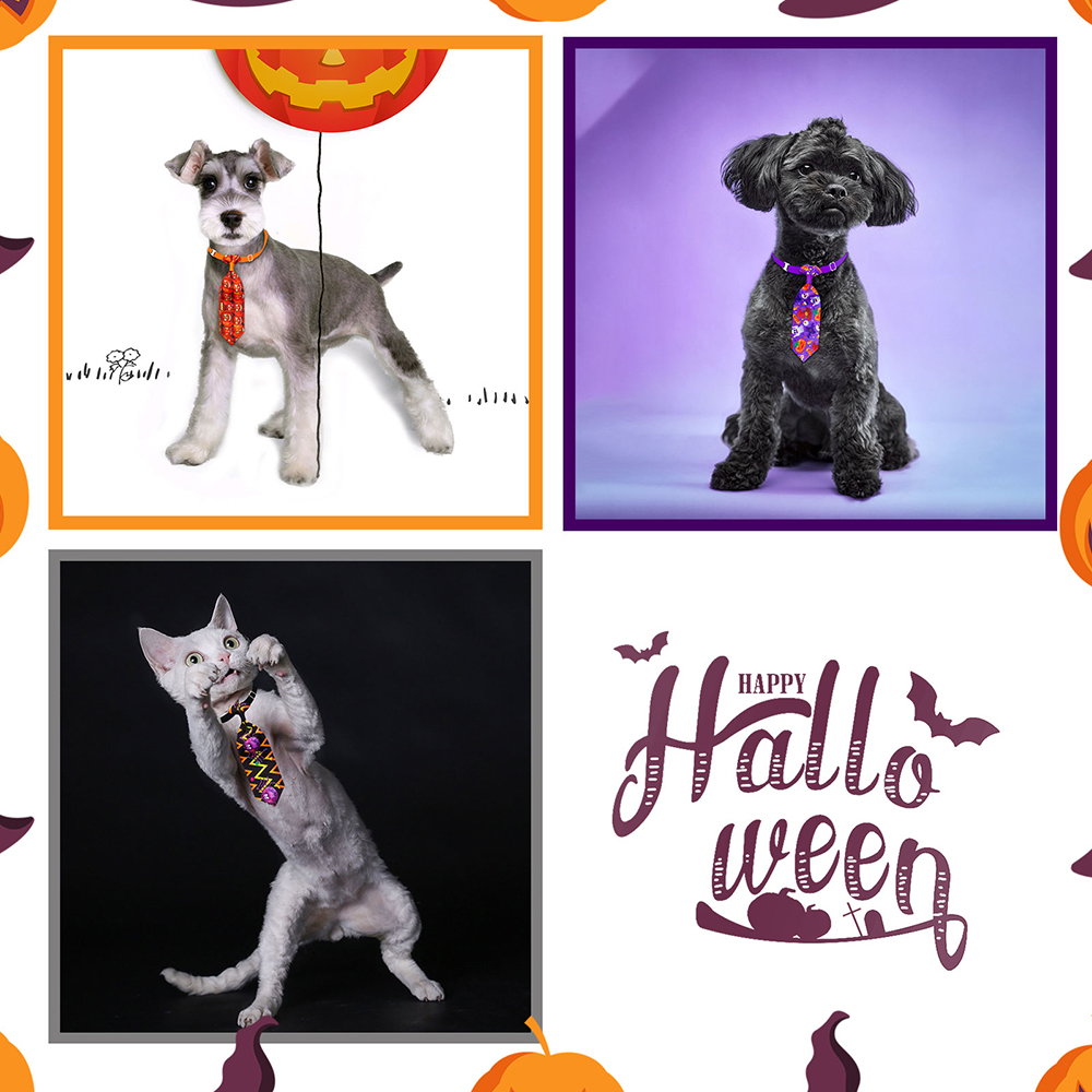 50/100pcs Halloween Dog Groomi - Pet Supplies Hours ulasan dan harga