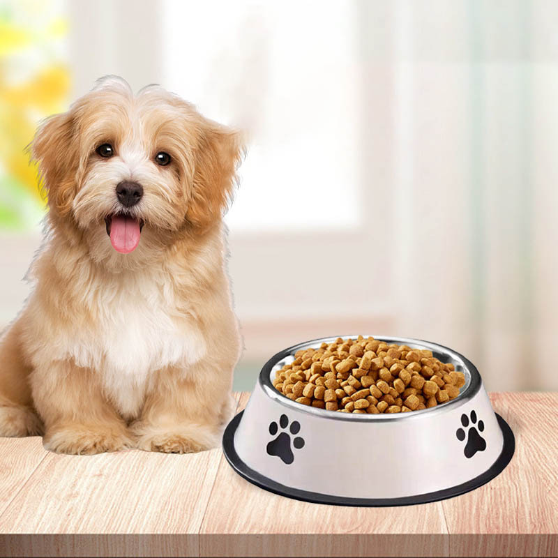 Stainless Steel Pet Bowl Cat B - Pet Supplies Hours ulasan dan harga