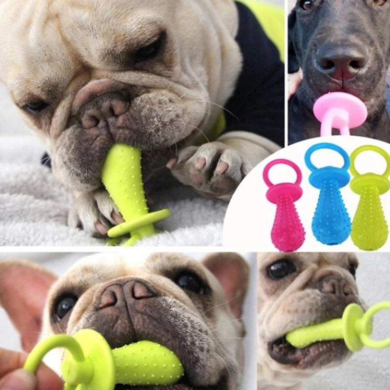 Pet Toys For Small Dogs Rubber - Pet Supplies Hours ulasan dan harga