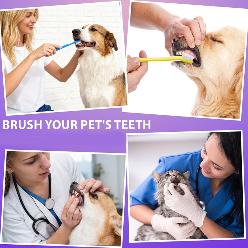 AB66-Dog Oral Hygiene Tool- 60 - Dog Paw Cleaner ulasan dan harga